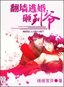 翻墙逃婚，砸到爷