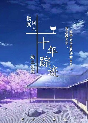 （棋魂同人）棋魂同人之十年踪迹