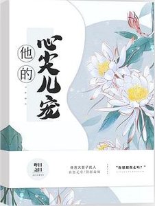 《他的心尖儿宠》