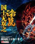 国士无双之诸葛