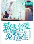 致我亲爱的兔子先生
