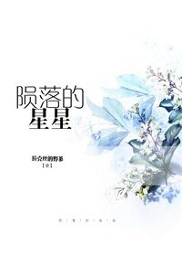 陨落的星星