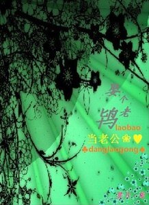 娶个老鸨当老公