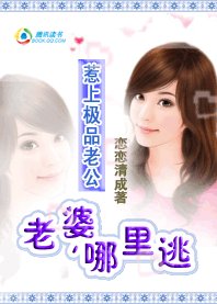 惹上极品老公：老婆，别想逃