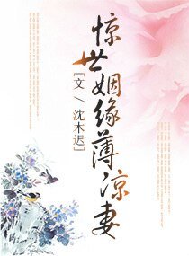 惊世姻缘薄凉妻