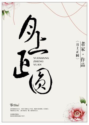 月上正圆/她只是想生个孩子
