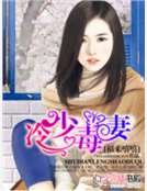 冷少毒妻