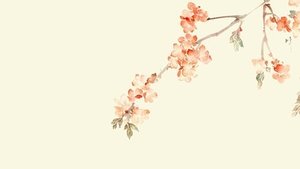 《寂寂年未央》