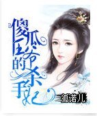 傻瓜王爷的杀手妃
