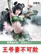 薄情佣兵妃：王爷妻不可欺