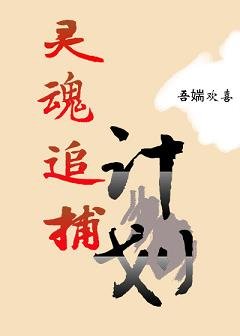 灵魂追捕计划