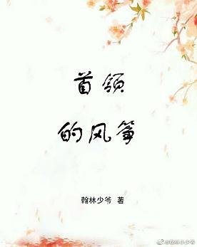 首领的风筝