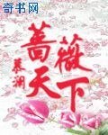 蔷薇天下