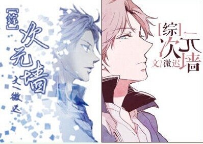 （BG-综漫主网王同人）[综]次元墙