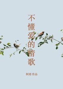 不懂爱的情歌