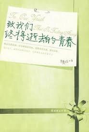 致我们终将逝去的青春（出书版）