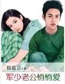 军少老公悄悄爱