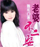 偷恋成婚：老婆不二娶