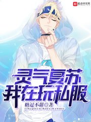 《灵气复苏我在玩私服》