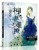暖宠之拽妻难撩
