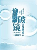 重生之破镜