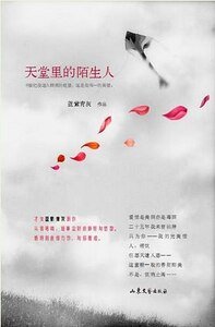 天堂里的陌生人（出书版）