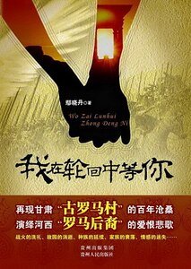 我在轮回中等你（出书版）