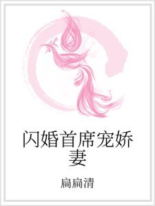闪婚首席宠娇妻