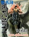 第九骑士
