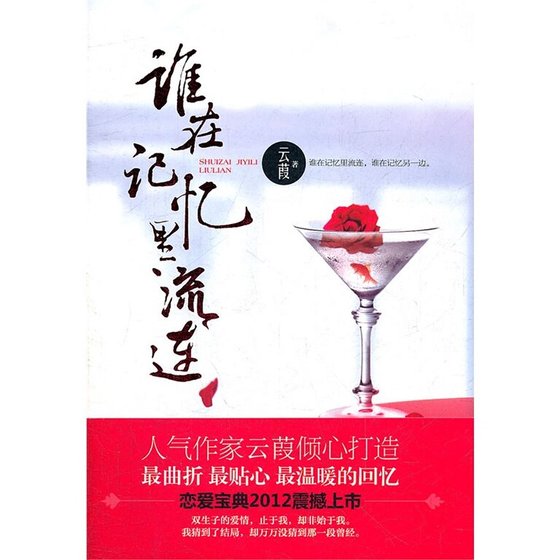 谁在记忆里流连（出书版）