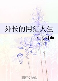 外长的网红人生