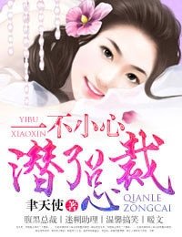 一不小心潜了总裁/一不小心爱上总裁