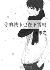 《你的城市也在下雪吗》