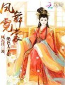 《凤舞霓裳:绝色太子妃》