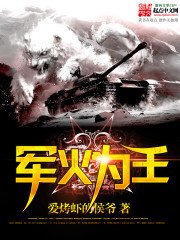 《军火为王》