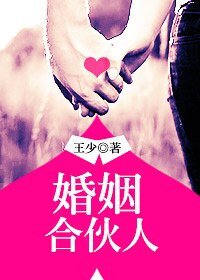 婚姻合伙人
