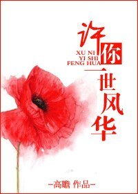 许你一世风华