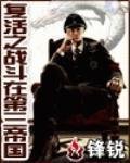 《复活之战斗在第三帝国》