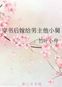 穿书后嫁给男主他小舅
