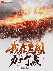 《我在三国加个点》