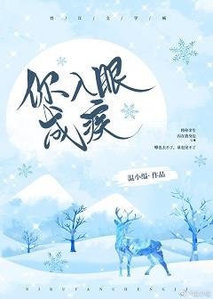 你入眼成疾