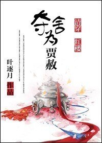 （综同人）[清穿+红楼]夺舍为贾赦