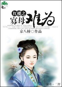 《(红楼同人)红楼之寡母难为》