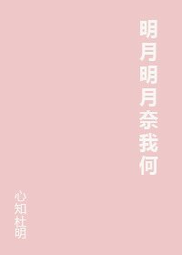 《明月明月奈我何》