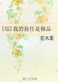 （综同人）[综]我的前任是极品