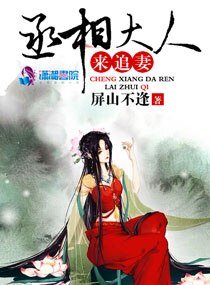 丞相大人来追妻