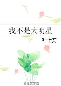 我不是大明星