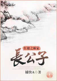 （红楼同人）红楼之林家长公子