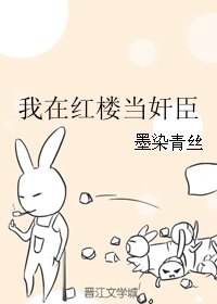 《(BL/红楼同人)我在红楼当奸臣》