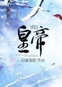 （BL/综同人）皇帝